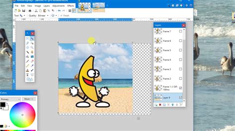 Paint.net Gif