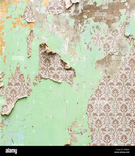 Painted Wallpaper Peeling