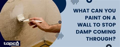 Painting A Damp Interior Wall