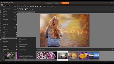 Paintshop Pro Scripts