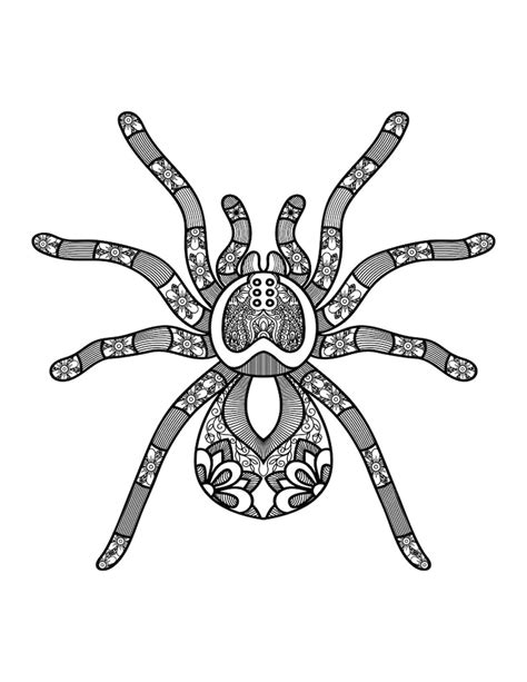 pająk kolorowanka mandala