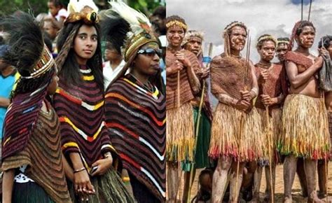 pakaian adat pulau papua