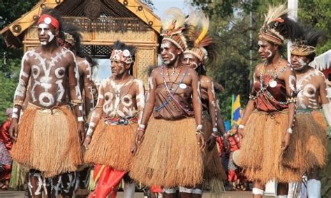 pakaian adat tradisional papua