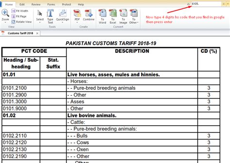 pakistan custom code