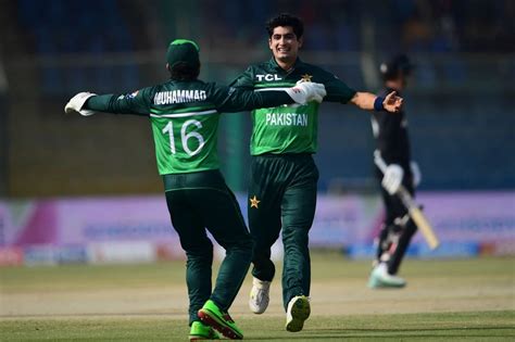 pakistan vs new zealand odi highlights