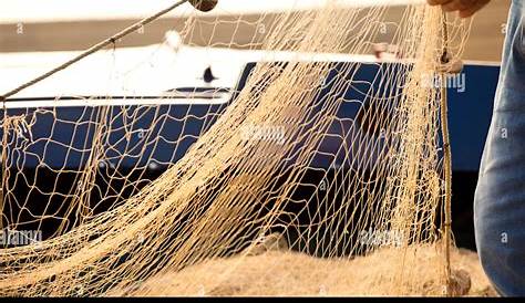 MODES DE PECHE Le marché aux poissons sur le port à Fécamp