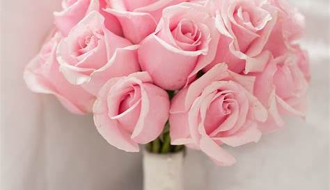 Pale Pink Rose Bouquet Light Bridal