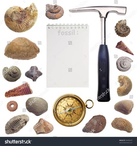 Paleontologist Tools List