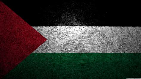 palestine flag 4k
