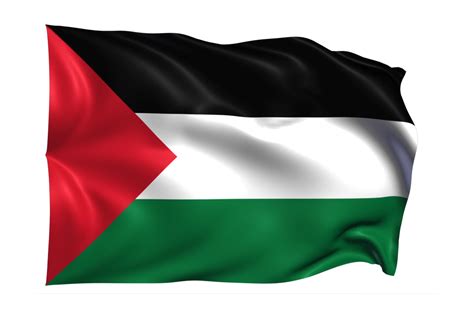 palestine flag png transparent