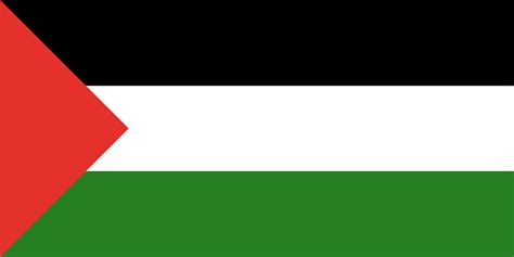 palestine flag with star and moon