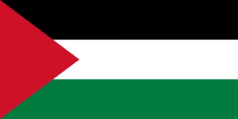 palestine flag with white star