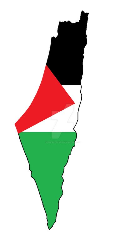 palestine map with flag