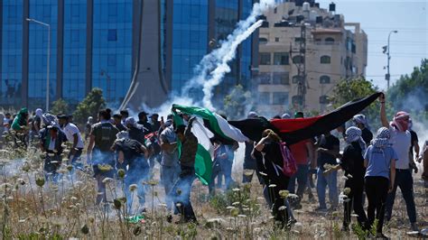 palestine protest capitol building