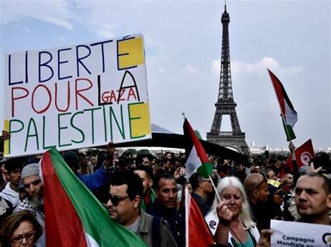 palestine protest in paris