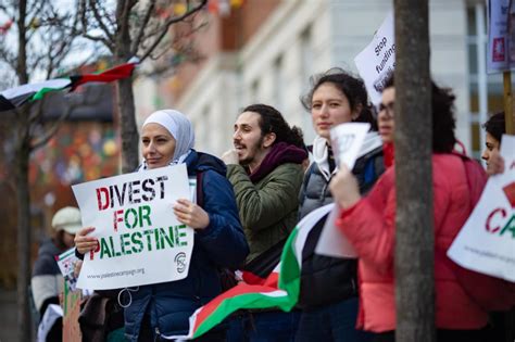 palestine solidarity campaign chair