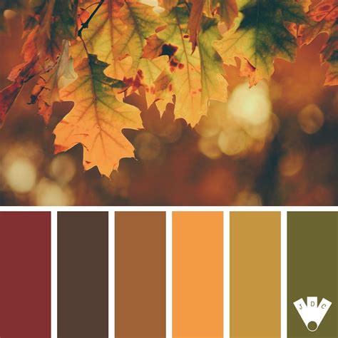 Mode Beauté Palette couleur, Couleur automne, Palette