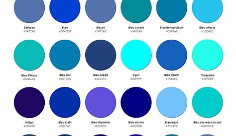 Palette De Couleur Bleu Peinture Peinture 12 s