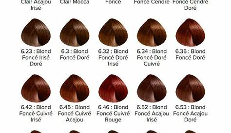 Palette De Couleur Cheveux Loreal Coloration Permanente 4.0 Châtain L'OREAL PARIS