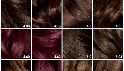 Palette De Couleur De Cheveux Garnier Coloration Permanente 100 Ultra Color