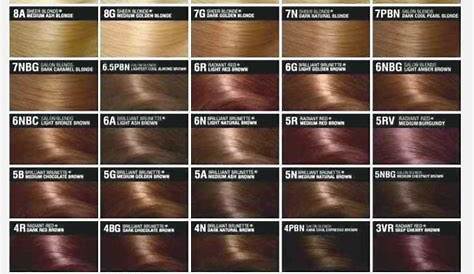 Palette Pour La Teinture De Cheveux Image stock Image du