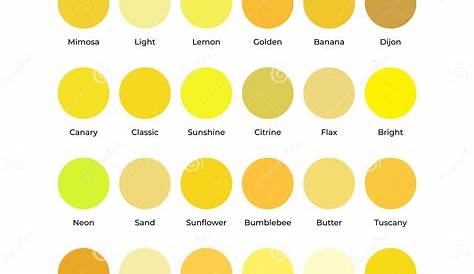 Palette Jaune Peinture Nuancier PANTONE 1 De Couleur