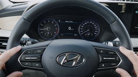 Palisade Steering Wheel Controls