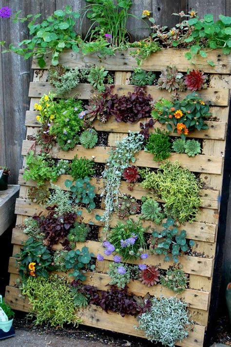 Pallet Garden Designs