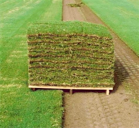 Pallet Of Grass Coverage