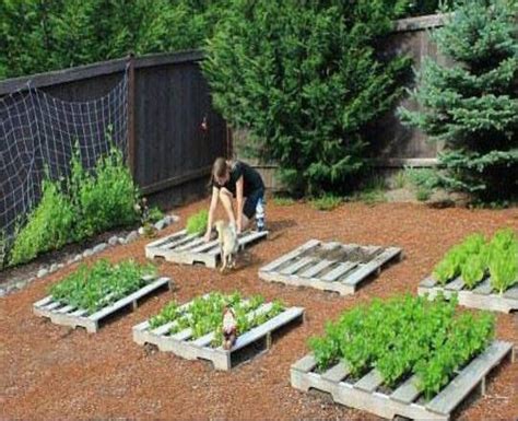 Pallets For Gardening