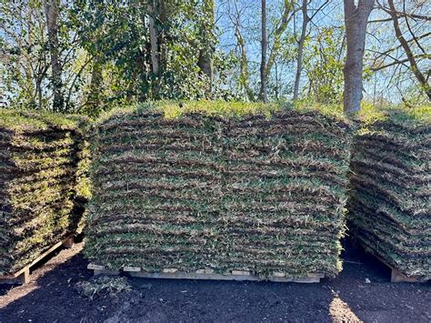 Pallets Of Grass Houston