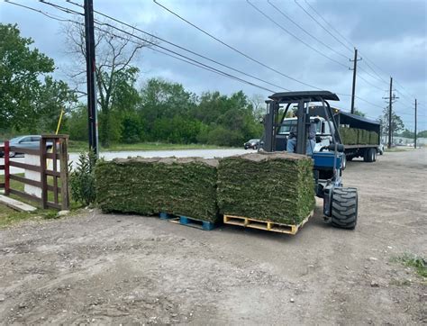 Pallets Of Grass Tyler Tx