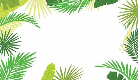 Simple Fresh Tropical Palm Leaf Border, Originality, Leaf, Palm Leaf