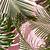 palm leaf wallpaper pink background