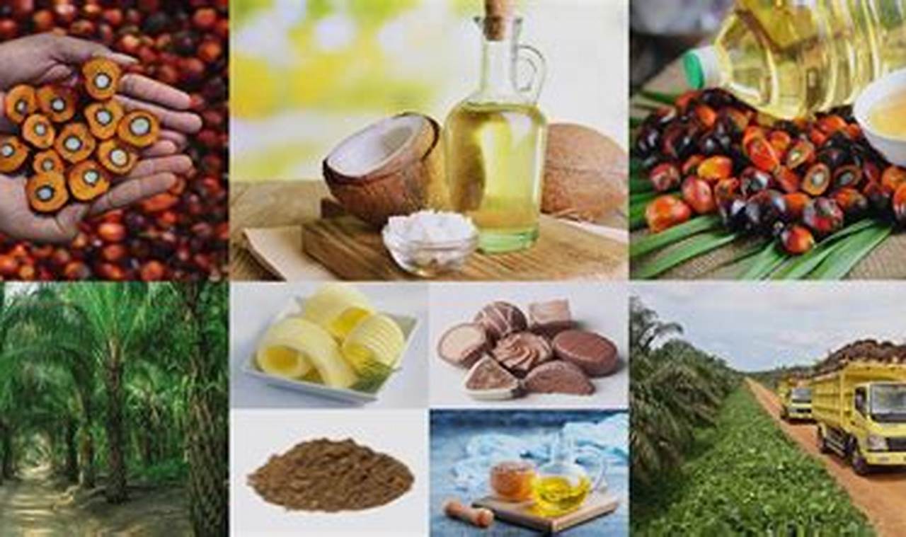 palm oil trading