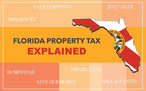 palm beach county fl property tax collector