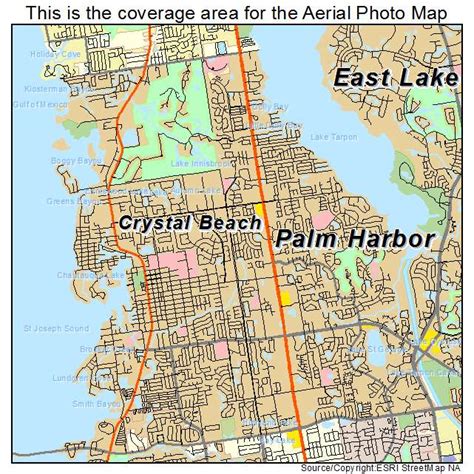 palm harbor area code