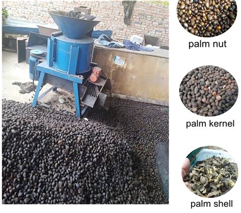 Palm Nut Cracker Machine