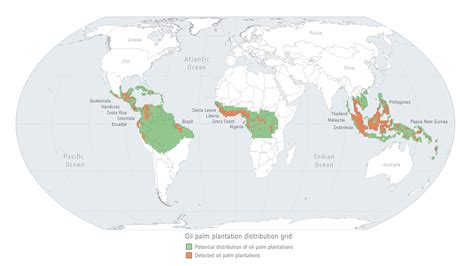 palm oil deforestation map