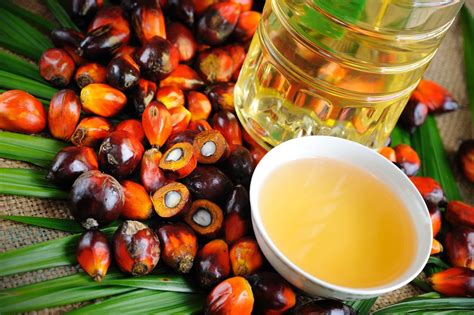 palm oil palm kernel oil