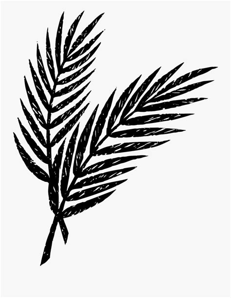 palm sunday palm leaf clipart black and white