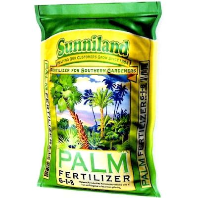 palm tree fertilizer lowes