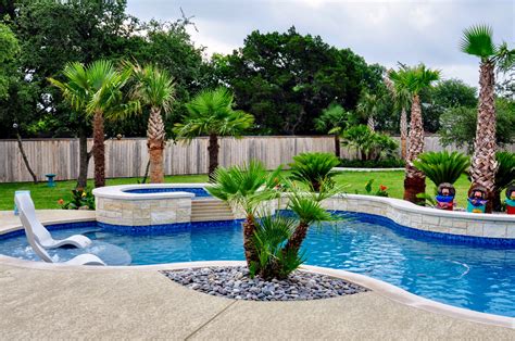 Palm Tree In Pool Deck