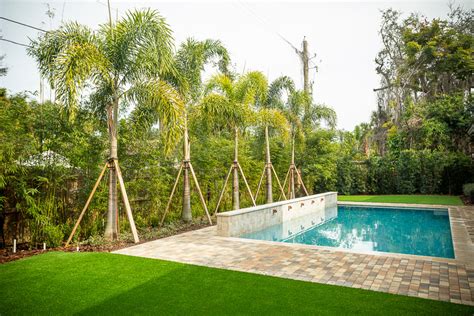 Palm Trees For Your Deck