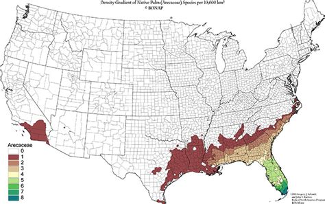 Palm Trees In Florida Map