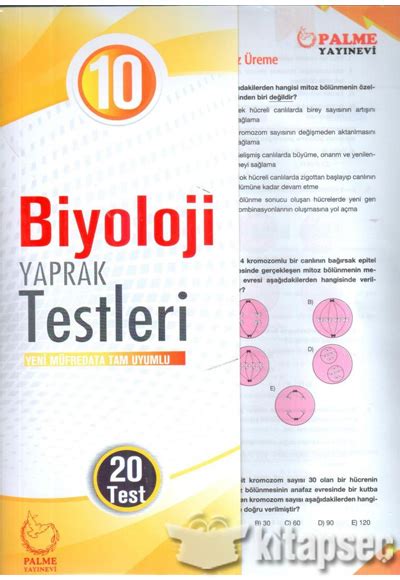 2. Sınıf İlkokul Seti Palme Yayınevi 9786052821725