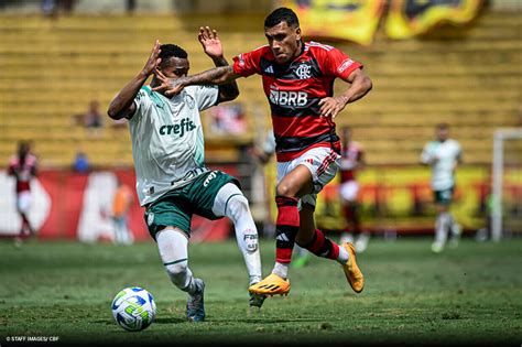 palmeiras sub 20 ogol