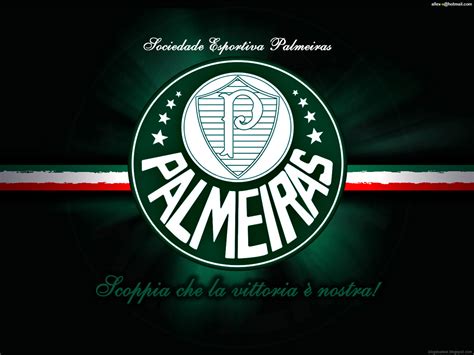 palmeiras todo dia site