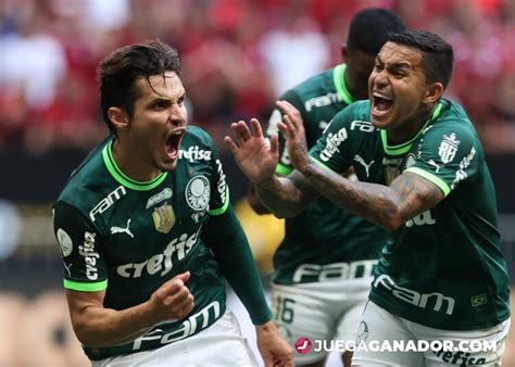 palmeiras vs goias pronostico