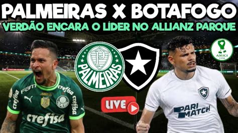 palmeiras x botafogo youtube